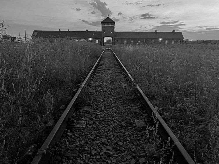 camp-dextermination-de-auschwitz-birkenau-30