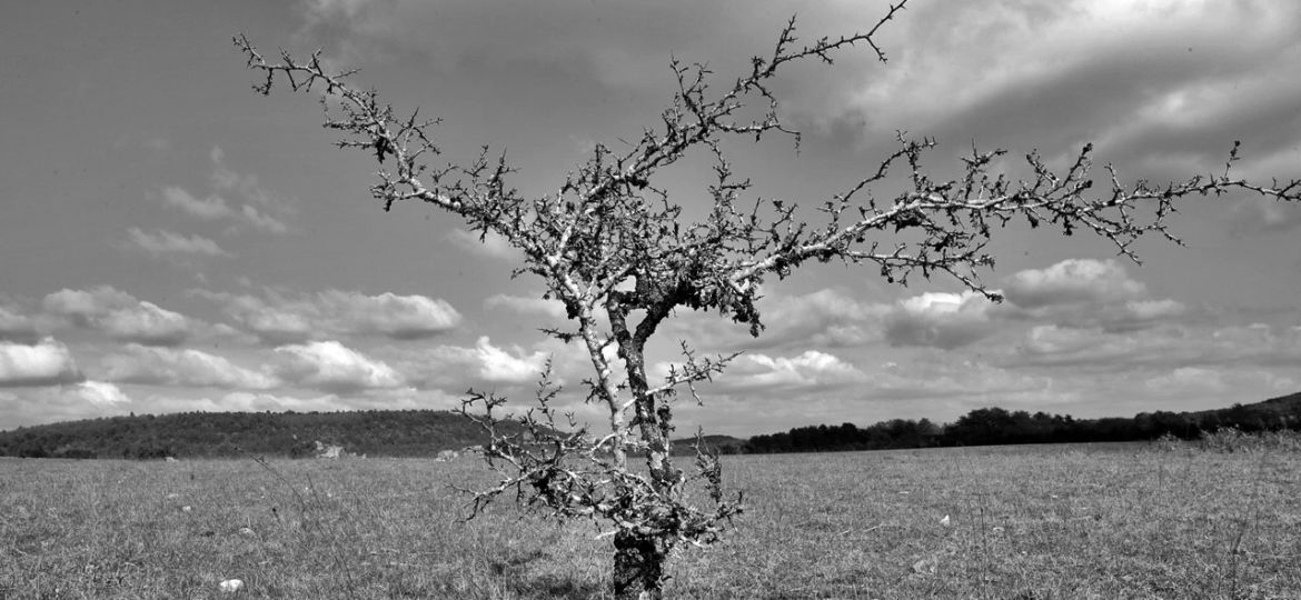 Saint-Martin-du-Larzac-confinement-10