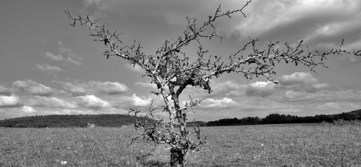 Saint-Martin-du-Larzac-confinement-10